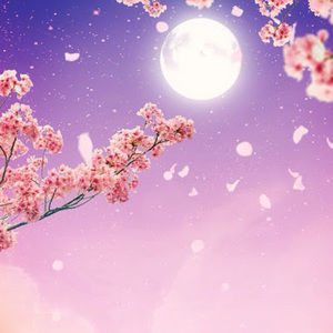 Meet your Posher, Hasham